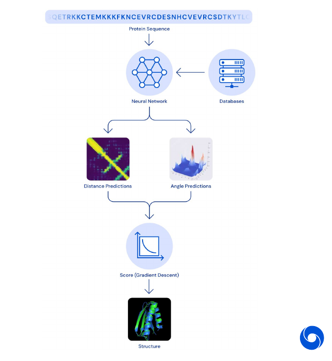 Structure of AlphaFold