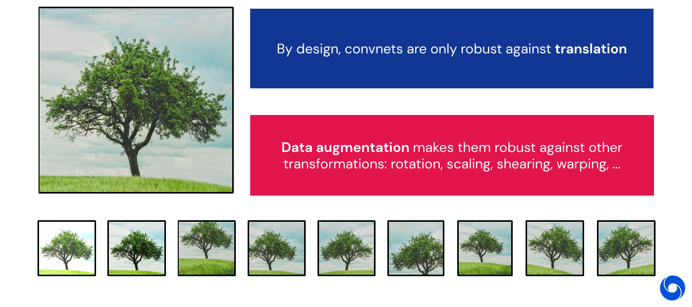 Data Augmentation