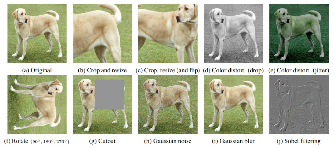 Augmentations for representation learning